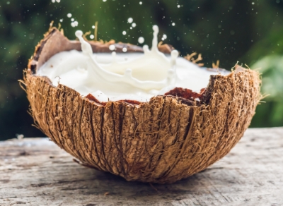 Coconut Milk Drink